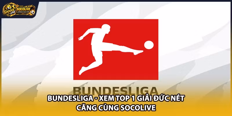 Bundesliga – Xem Top 1 Giải Đức Nét Căng Cùng Socolive